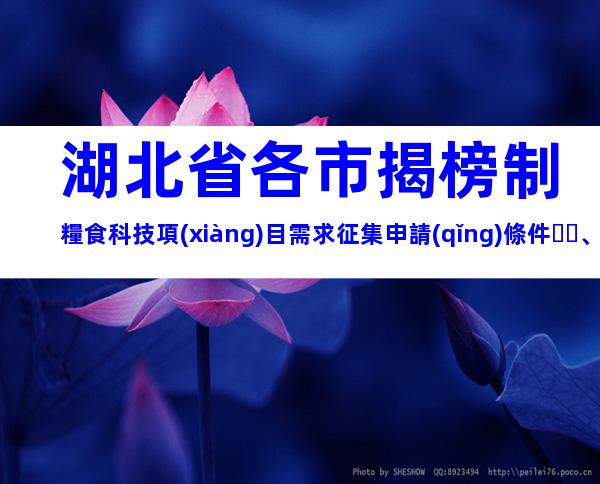 湖北省各市揭榜制糧食科技項(xiàng)目需求征集申請(qǐng)條件、時(shí)間、流程、補(bǔ)貼指南